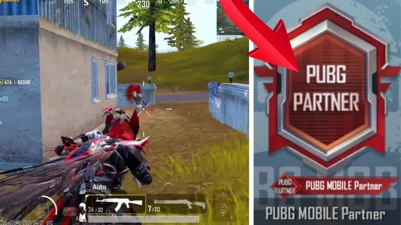 Profil PUBG Mobile montrant les titres de partenaire de niveau inférieur tels que Bromance BFF