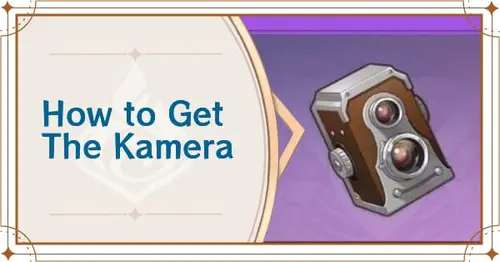 article banner article banner