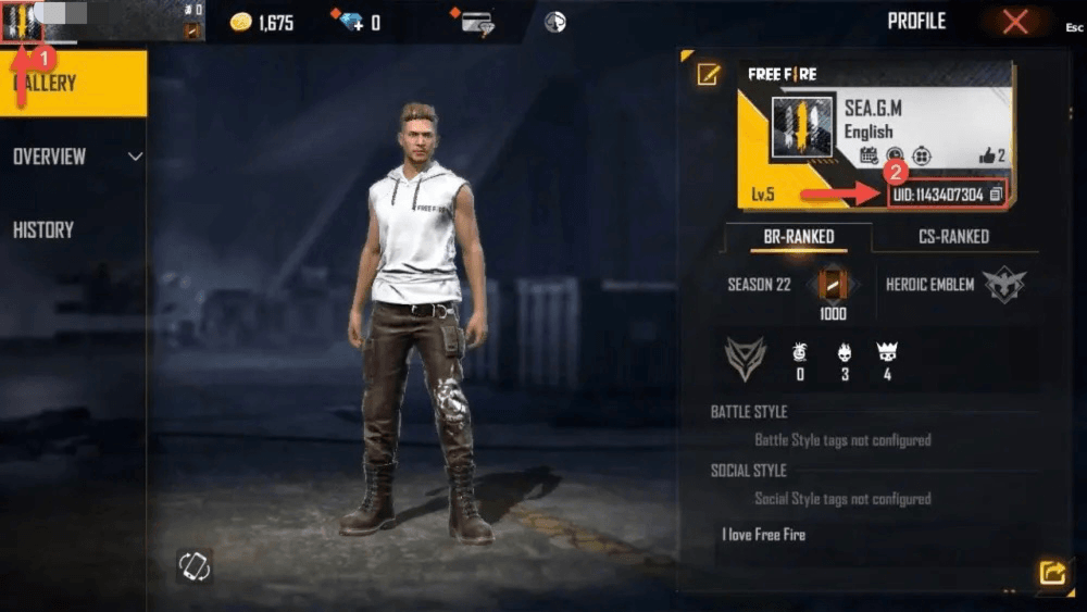 How to recharge Free Fire Diamonds EU + TR