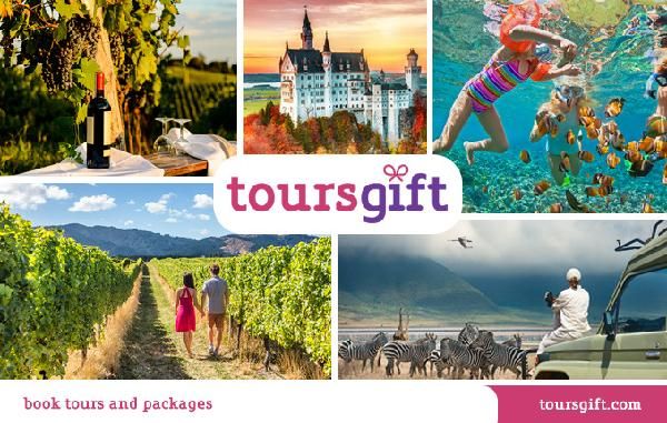 How to recharge ToursGift Cash Voucher (HK)