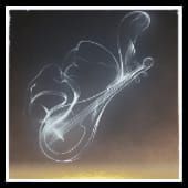 Where Winds Meet Resonating Melody item for direct gacha pull