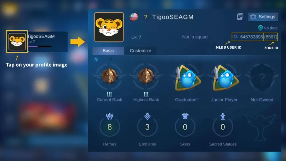 How to recharge Mobile Legends Bang Bang(俄羅斯)