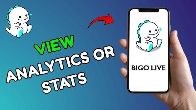 Bigo Live streamer analytics dashboard displaying earnings data, streaming hours, and performance metrics