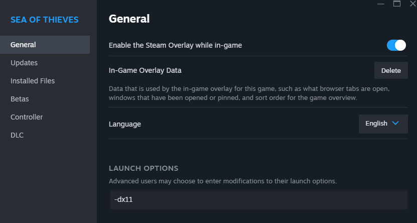 Fereastra de proprietăți și opțiuni de lansare Steam cu parametrul dx11