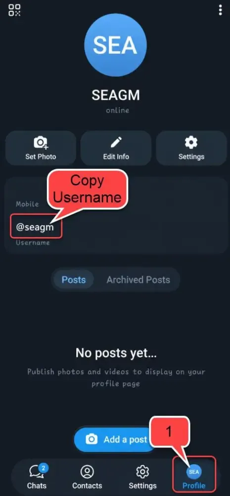 How to recharge Top Up Telegram