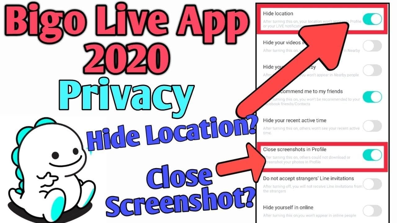 Bigo Live privacy settings interface showing visibility, location, and permission controls