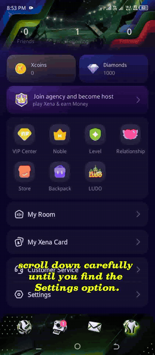 Gravação de tela animada da tela de Configurações e Privacidade do Xena com opções para ocultar país ou região, ocultar última vez online e roaming de mensagens
