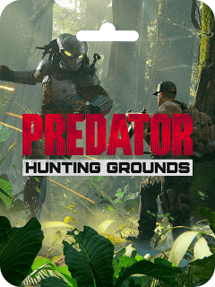 как пополнить баланс Predator: Hunting Grounds (Steam)