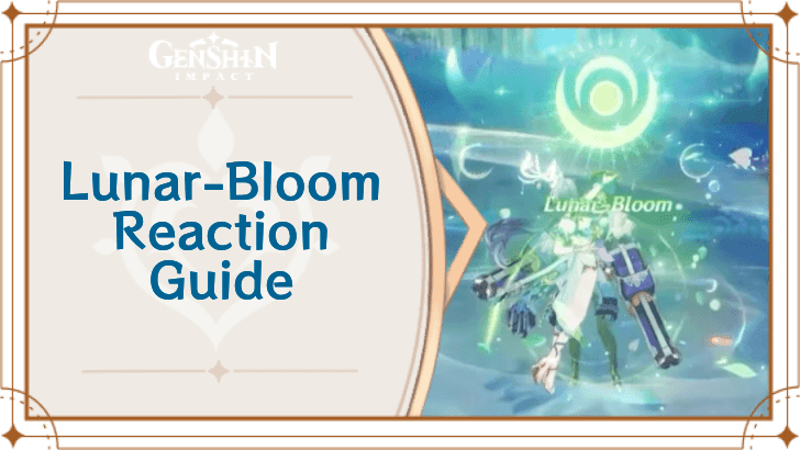 Lunar-Bloom team rotation sequence showing optimal skill usage order and timing