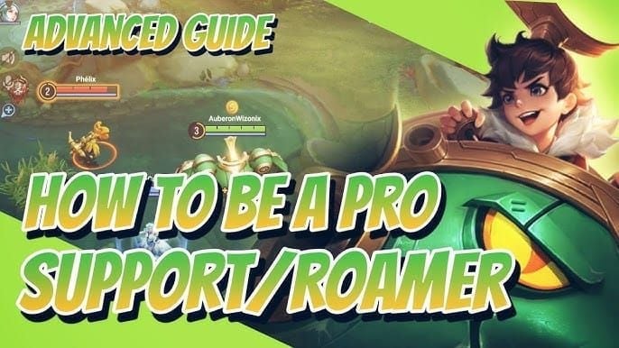 Honor of Kings support role guide showing protection, healing, and vision control mechanics