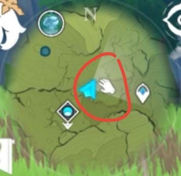 Genshin Impact mini-map displaying local specialty tracking icons