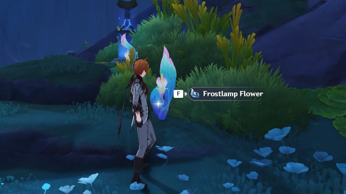 Frostlamp Flowers with their characteristic candle-shaped blooms in Genshin Impact