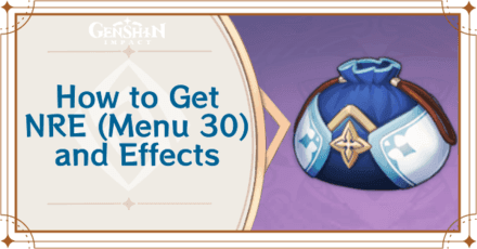 Genshin Impact NRE Menu-30 gadget interface showing loaded food items for combat healing