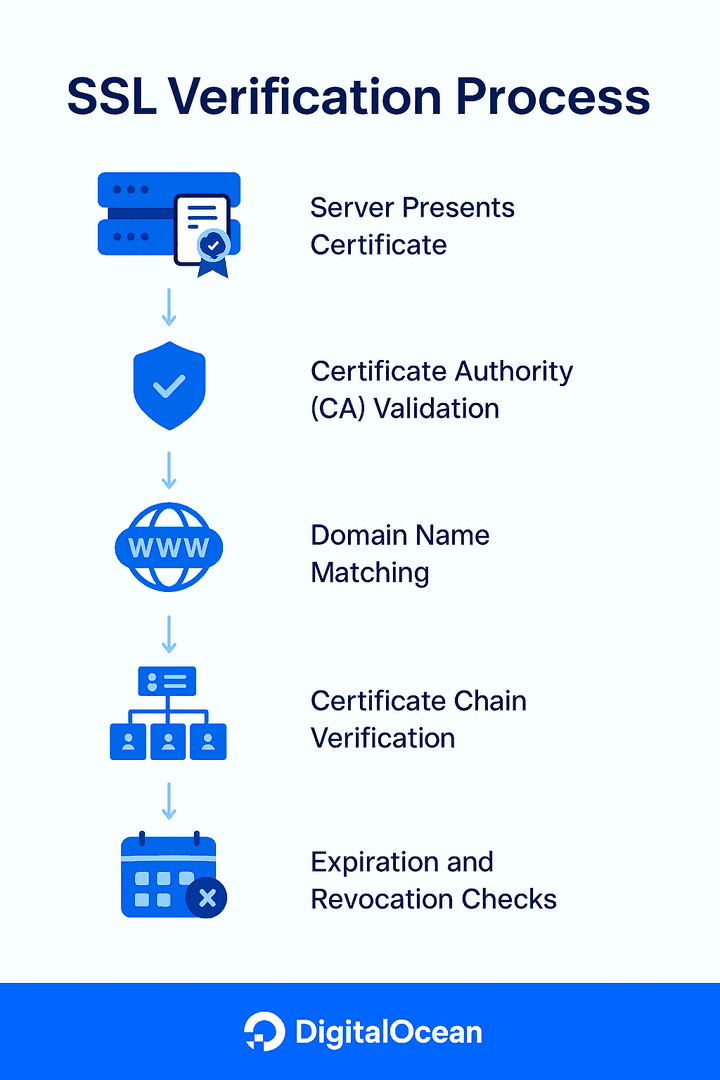 Browser screenshot showing SSL certificate verification steps with highlighted security indicators