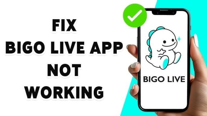 Comparison of common BIGO Live desktop payment issues and fixes