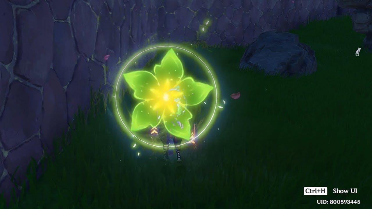 Tighnari unleashing Wreath Arrow Charged Attack in Genshin Impact