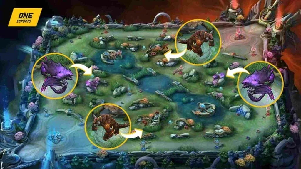 Guide to advanced jungle invade routes in Mobile Legends