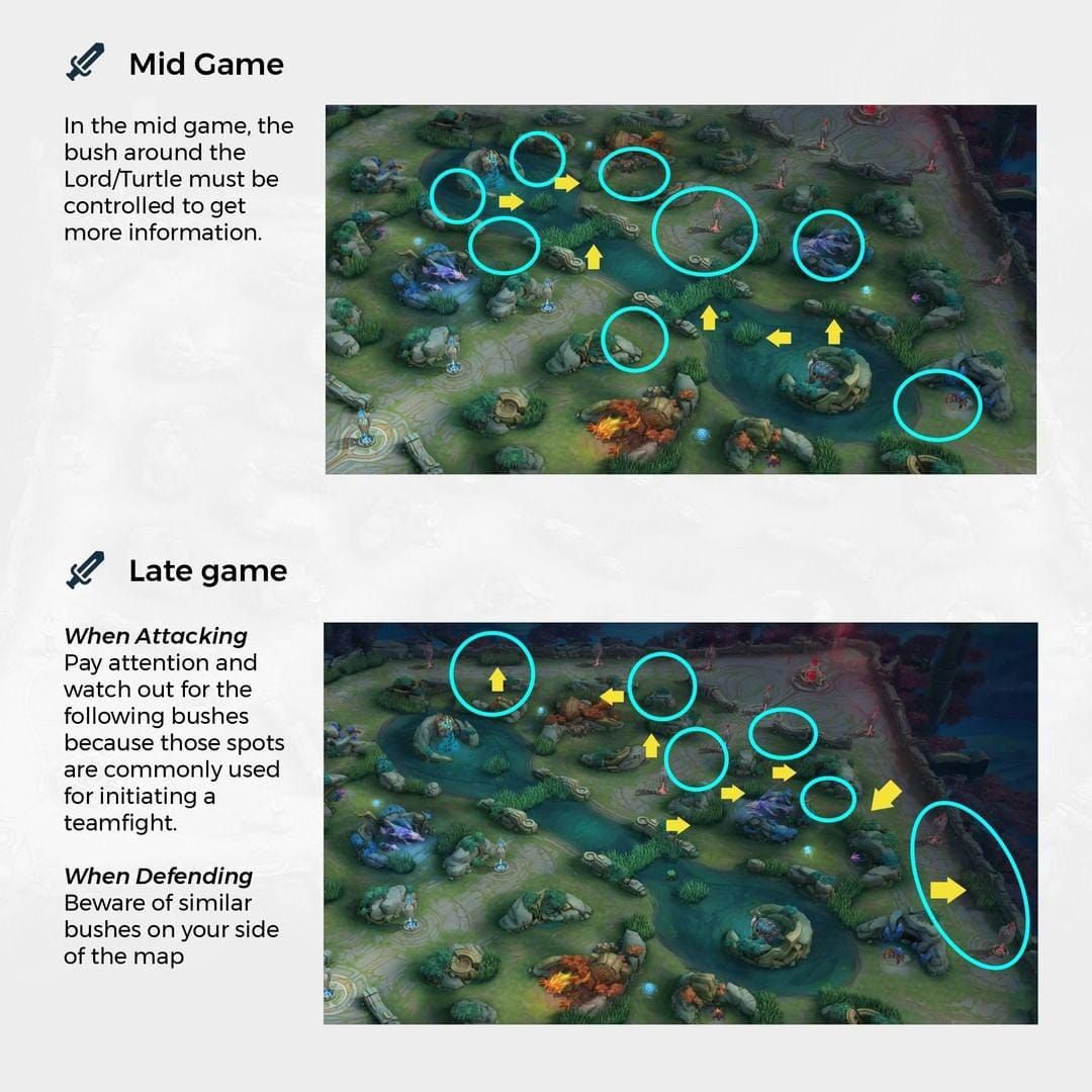 Mobile Legends map showing prime vision areas for Turtle and Lord