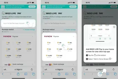 BIGO Live PayNow payment interface screenshot