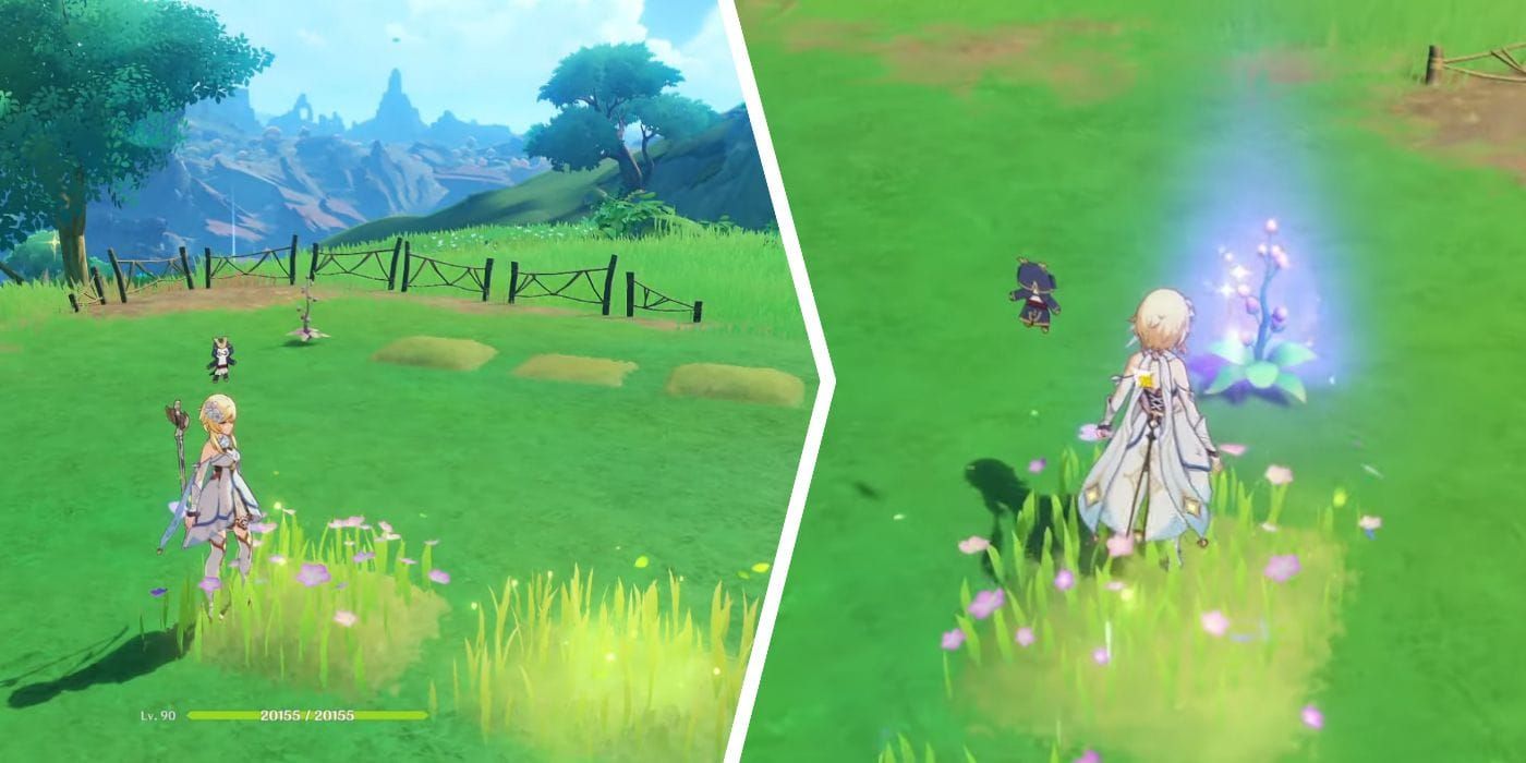 Guide image of a Sumeru puzzle in Genshin Impact