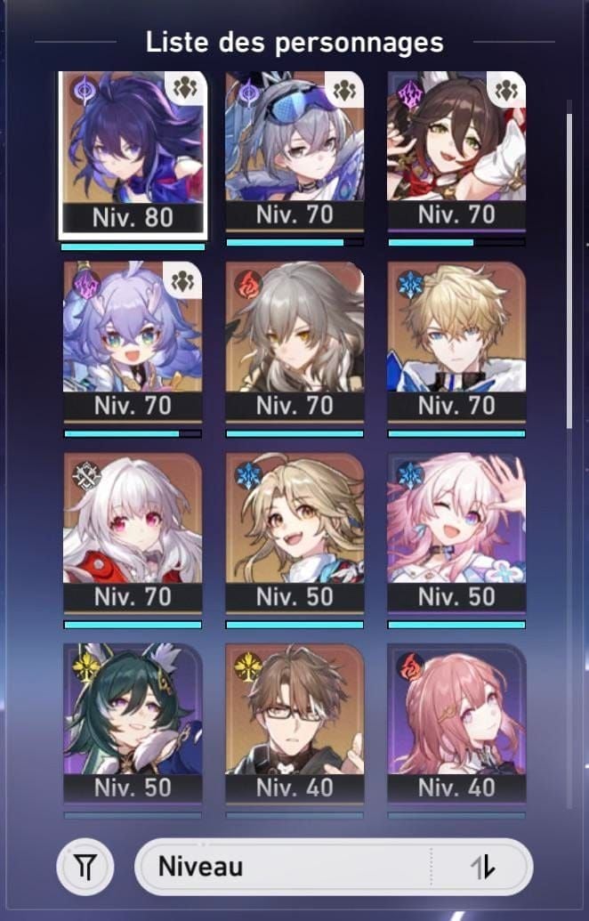 Game screenshot showing Seele hypercarry team composition in Honkai Star Rail