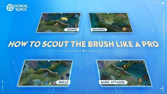 Honor of Kings gameplay showing safe bush checking with ranged abilities