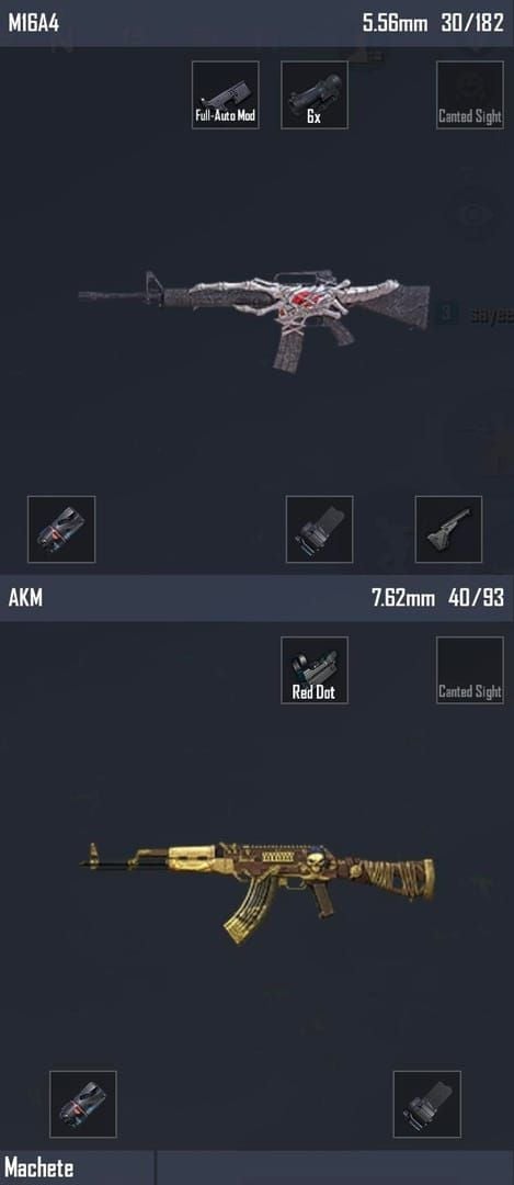PUBG Mobile pro loadout screenshot with M416 and Kar98k on Erangel
