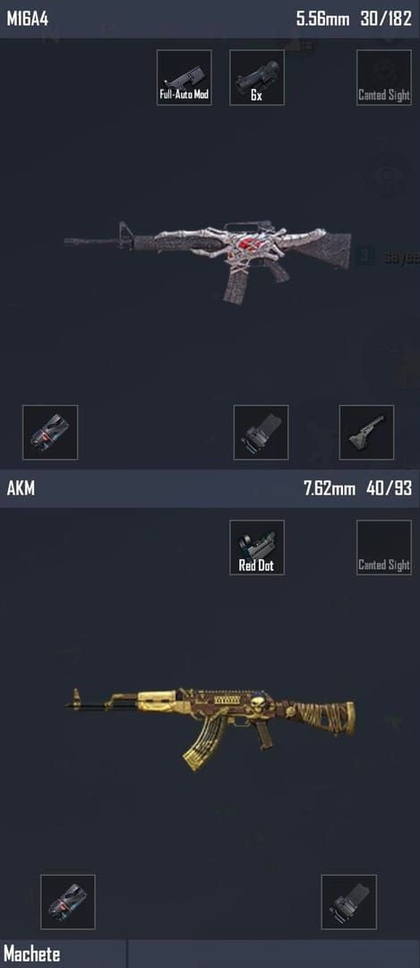 PUBG Mobile pro loadout screenshot with M416 and Kar98k on Erangel