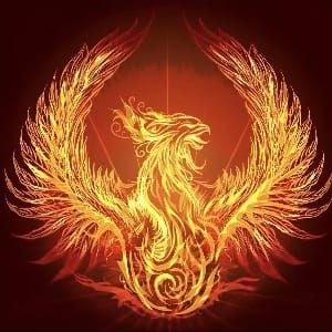 Bigo Live Golden Phoenix gift animation with fireworks