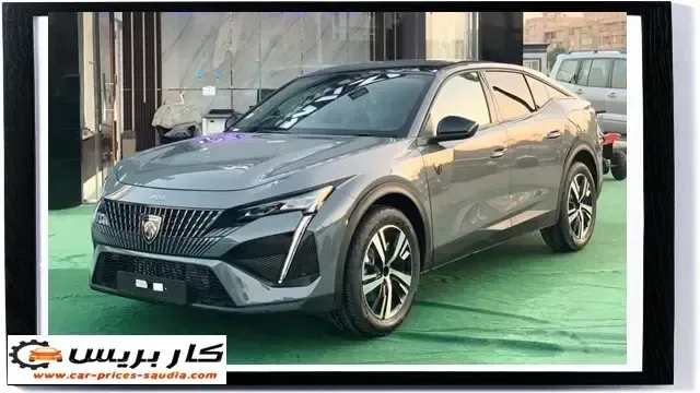 دليل حل مشاكل الدفع في بيجو لايف