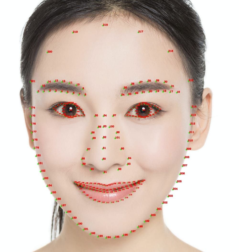 Chamet AI facial recognition keypoints diagram for profile photo analysis