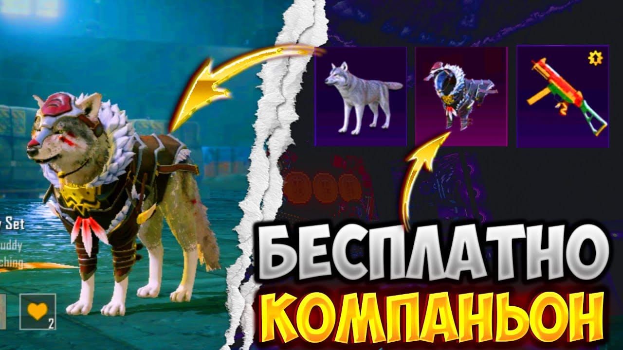 Сравнение компаньонов и скинов оружия в PUBG Mobile