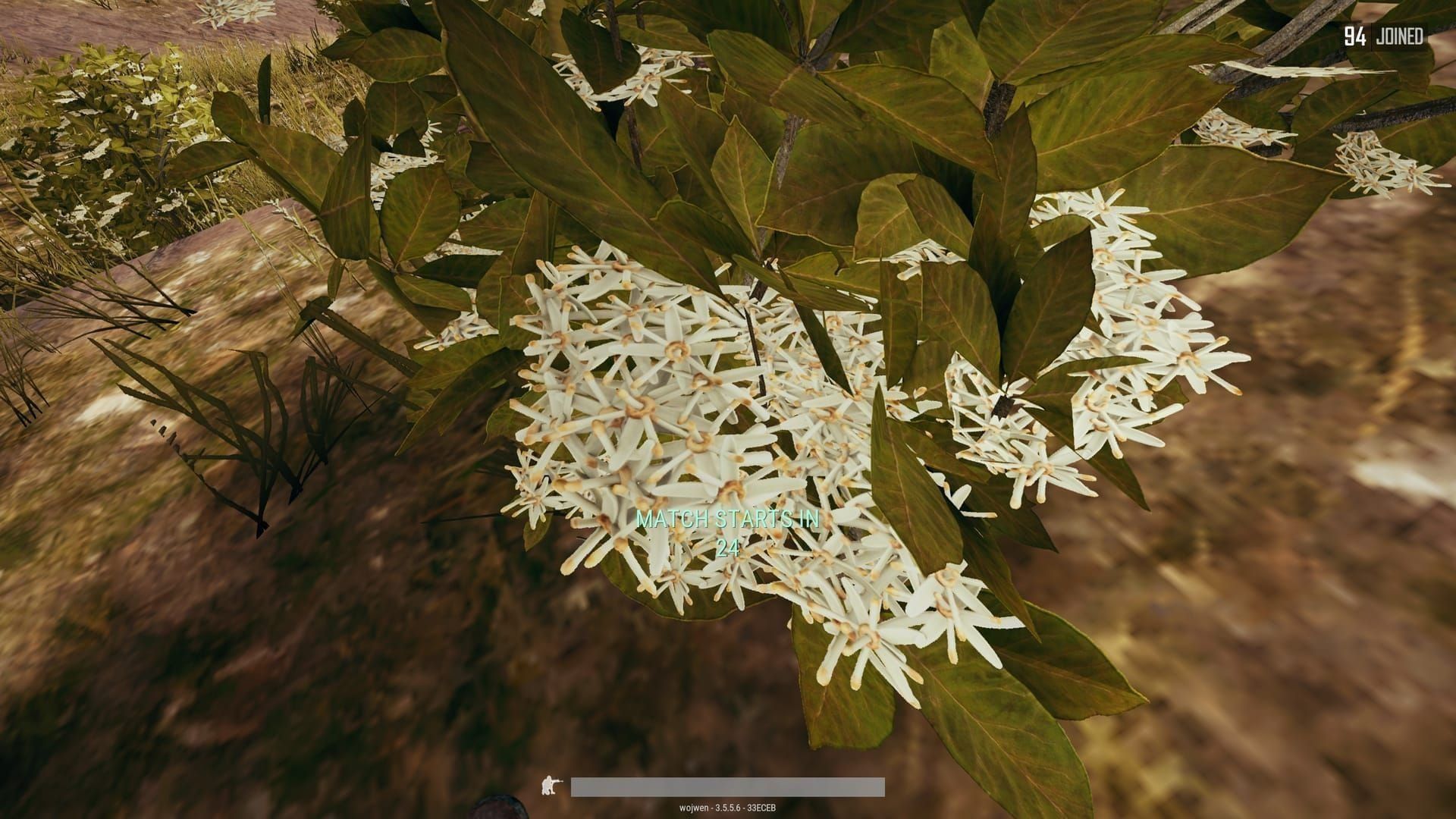 PUBG Mobile Primewood Genesis Guide: Contest vs Rotate