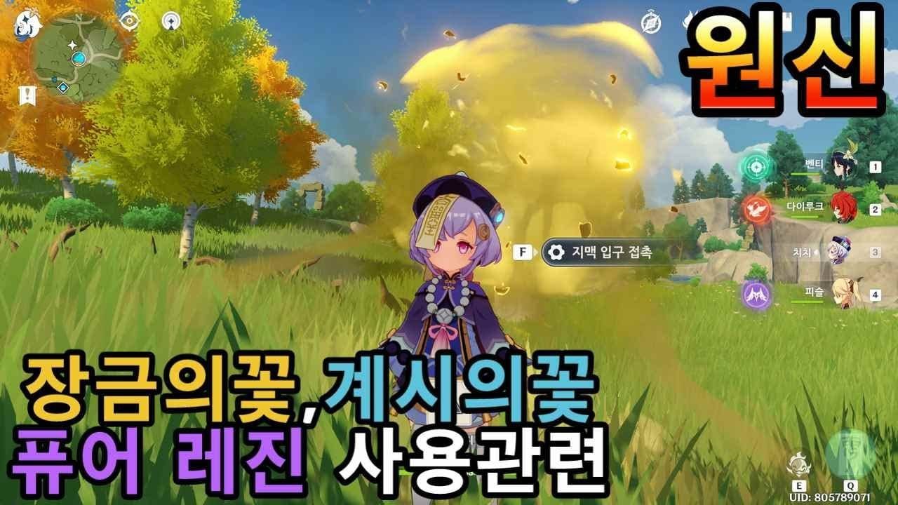 원신 지맥 2배 보상 비교 - 장금의 꽃 모라 vs 계시의 꽃 경험치