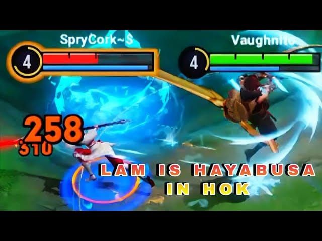 Hayabusa S13 Guide: Counter Mid Mages & Builds 2026