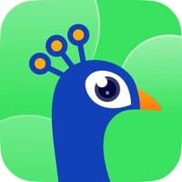 Taka Live streak tracking interface in profile menu with days and protections