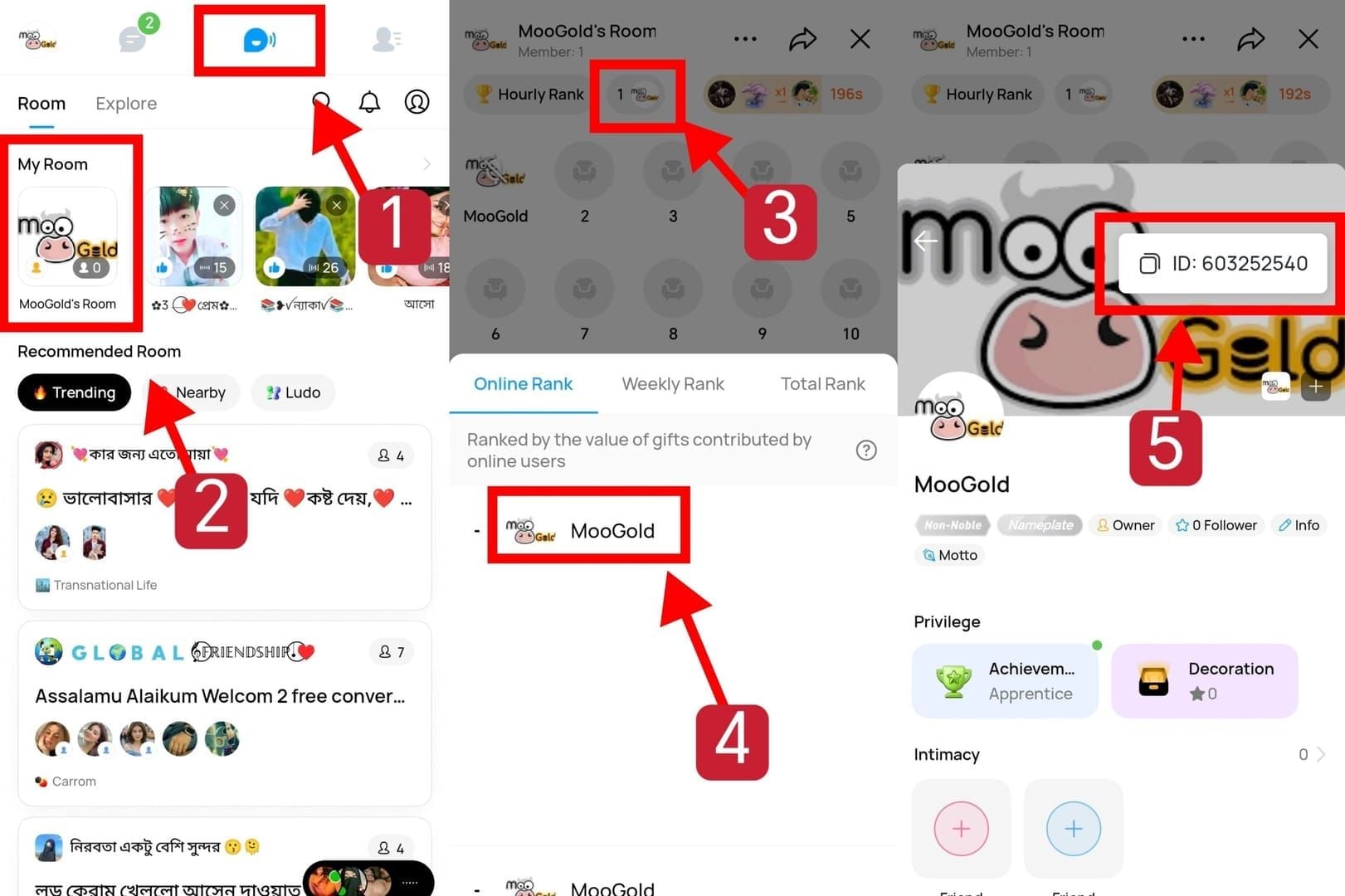 IMO Diamond Recharge Guide: Save 38% Before 2026