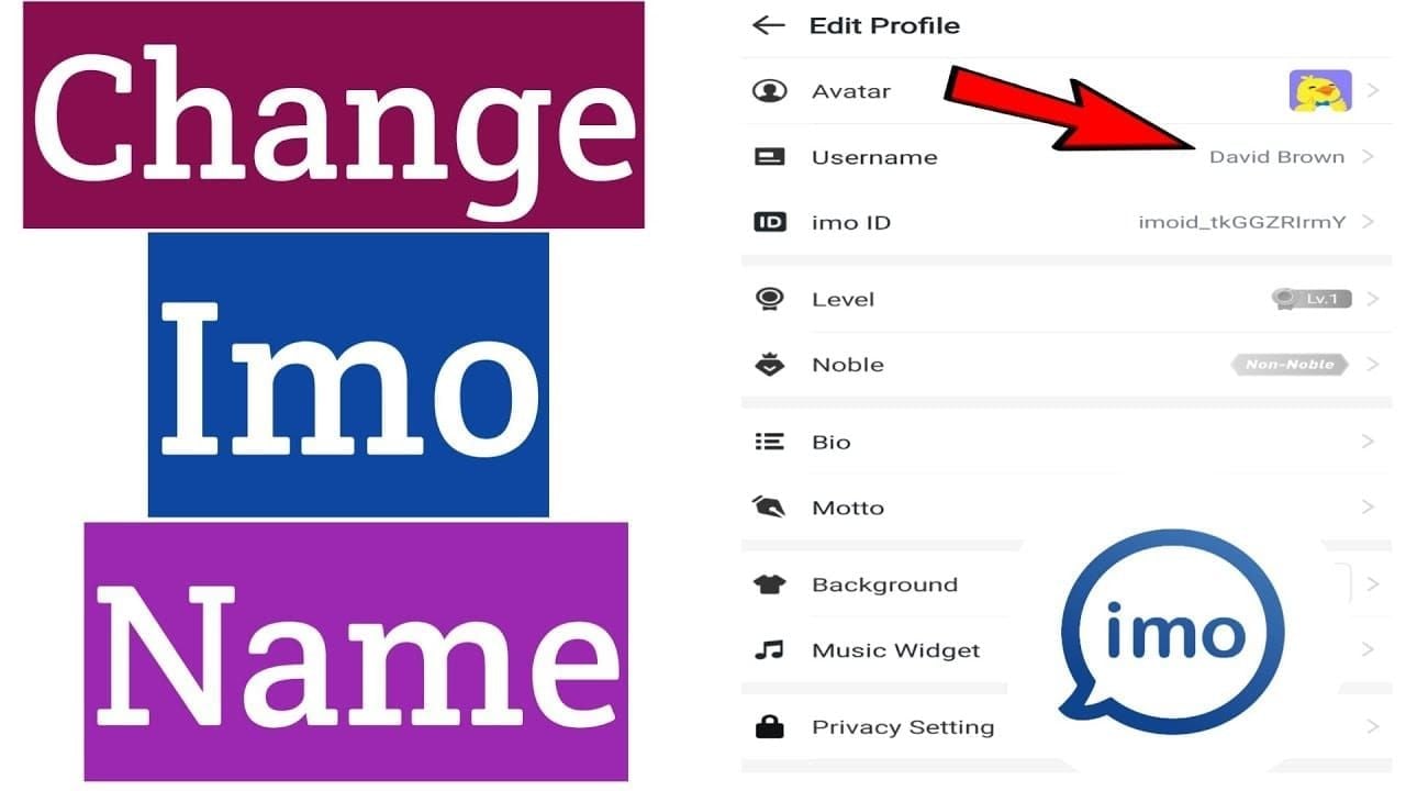 Screenshot showing how to find IMO user ID in profile