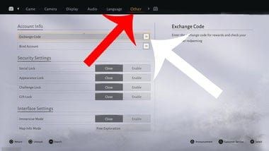Where Winds Meet in-game Exchange Code interface in Settings menu