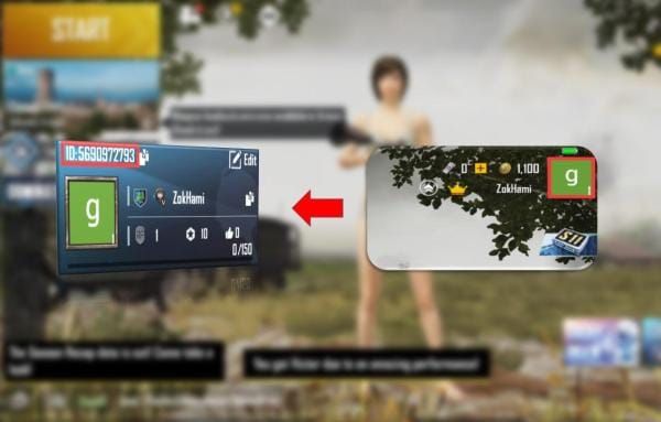 PUBG Mobile UC player profile interface displaying 10-digit Player ID for top-up