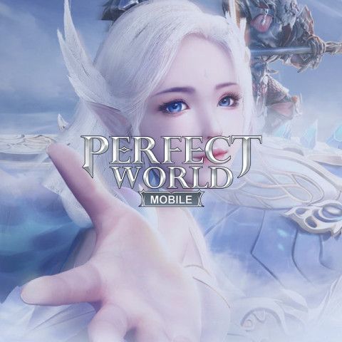 Как пополнить счет или приобрести Perfect World M (глобально)